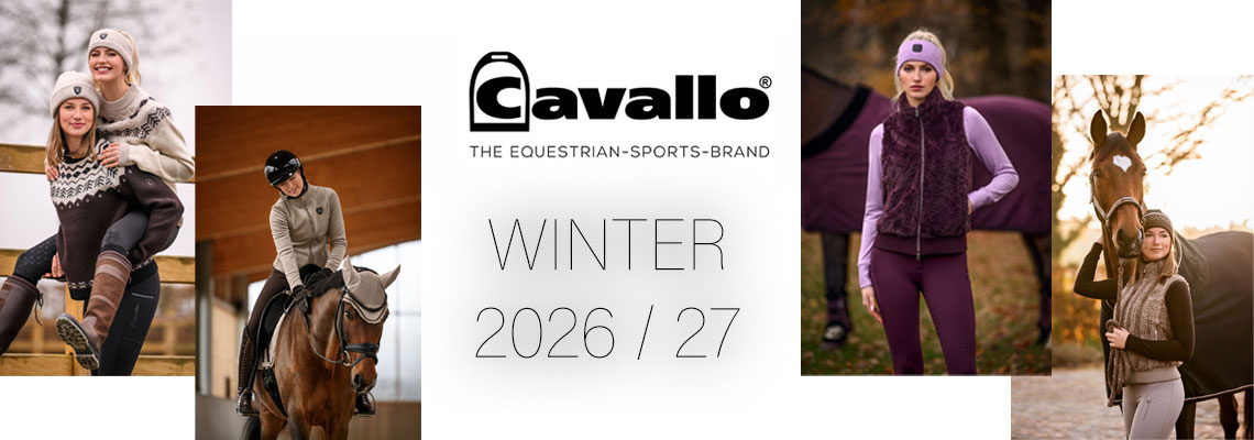 cavallohw26