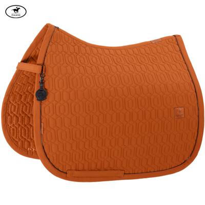 Eskadron - Schabracke SOFTSHELL EMBLEM - PLATINUM 2026 -- CALEVO.com Shop