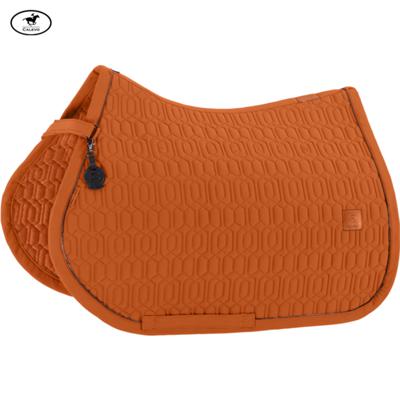 Eskadron - Schabracke SOFTSHELL EMBLEM - PLATINUM 2026 -- CALEVO.com Shop