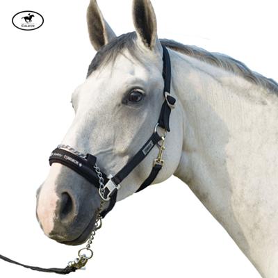 Eskadron - Halfter mit F�hrkette CONTROL -- CALEVO.com Shop