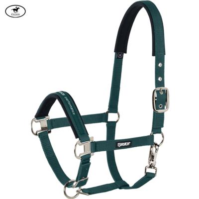 Eskadron - Halfter PIN BUCKLE -- CALEVO.com Shop