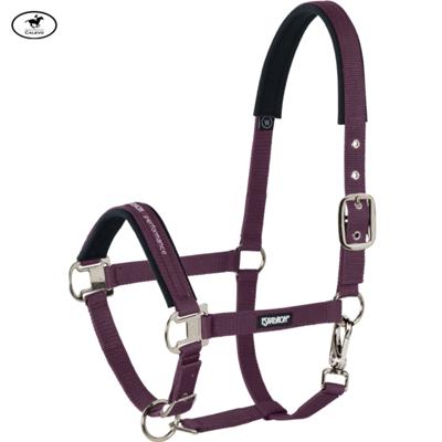 Eskadron - Halfter PIN BUCKLE -- CALEVO.com Shop