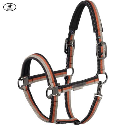 Eskadron - Halfter LIGHTWEIGHT DOUBLE PIN - PLATINUM 2026 -- CALEVO.com Shop