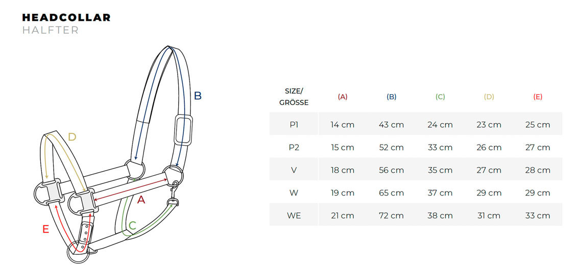 Eskadron - Halfter LIGHTWEIGHT DOUBLE PIN - PLATINUM 2026