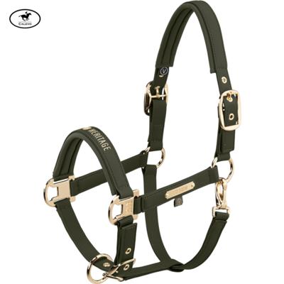 Eskadron - Halfter FAUX LEATHER DOUBLE PIN - HERITAGE 2026 -- CALEVO.com Shop