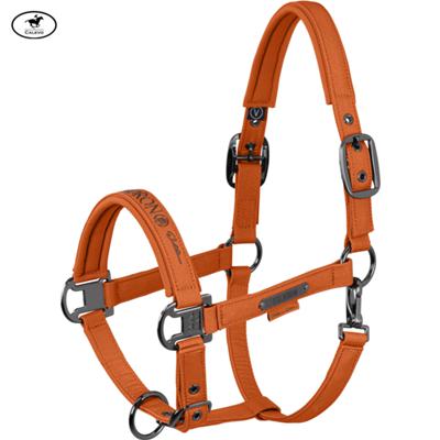 Eskadron - Halfter SPARKLE DOUBLE PIN - PLATINUM 2026 -- CALEVO.com Shop