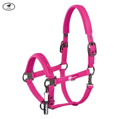 Eskadron Stallhalfter SPARKLE JEWEL DOUBLE PIN -DYNAMIC 2026 -- CALEVO.com Shop