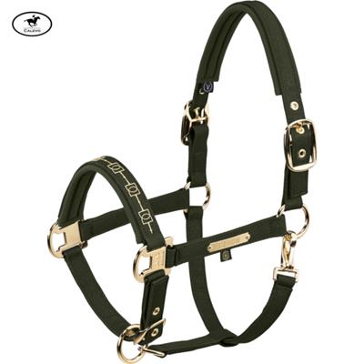 Eskadron - Halfter SPARKLE DOUBLE PIN - HERITAGE 2026 -- CALEVO.com Shop