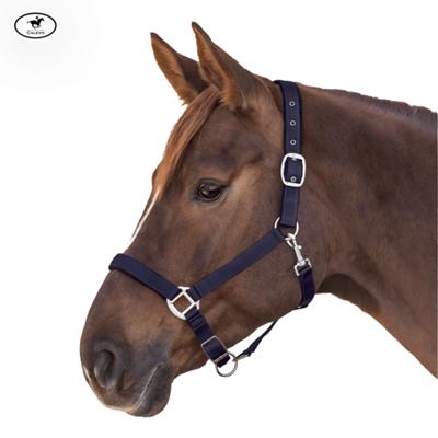Waldhausen - Halfter SATIN CALEVO.com Shop