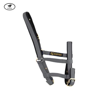 Kieffer - Stallhalfter FOHLEN -- CALEVO.com Shop