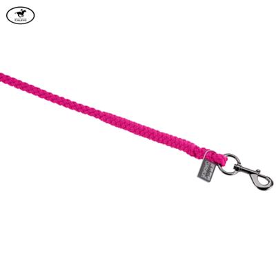 Eskadron - Strick REGULAR mit Karabinerhaken - DYNAMIC 2026 -- CALEVO.com Shop
