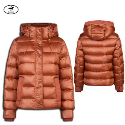 Pikeur - Damen Steppjacke 8016 SELECTION - HW 2025 -- CALEVO.com Shop
