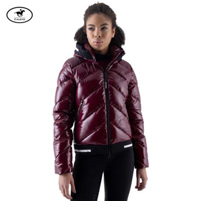 Equiline - Gl�nzende Damen Steppjacke EQCOMB - HW 2026 -- CALEVO.com Shop