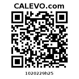 Calevo.com pricetag 1020229h25