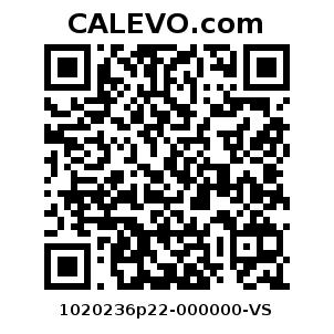 Calevo.com Preisschild 1020236p22-000000-VS