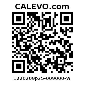 Calevo.com Preisschild 1220209p25-009000-W