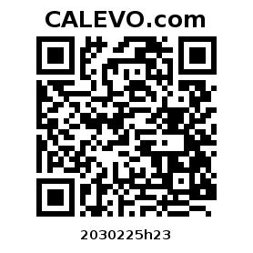 Calevo.com Preisschild 2030225h23